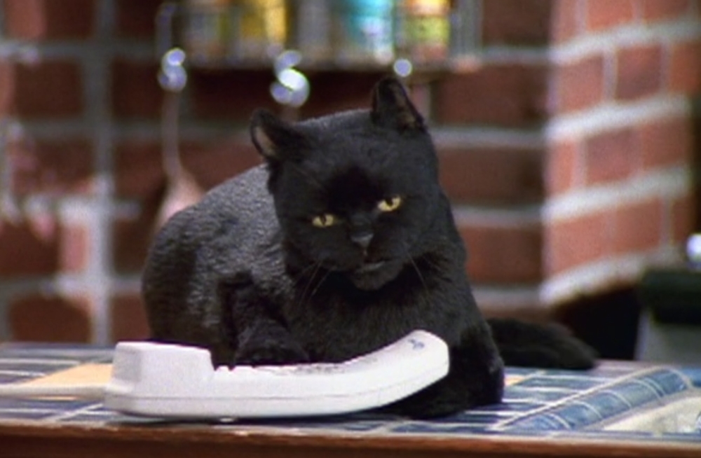 Sabrina the Teenage Witch’s Salem the cat sasses our readers with sage ...