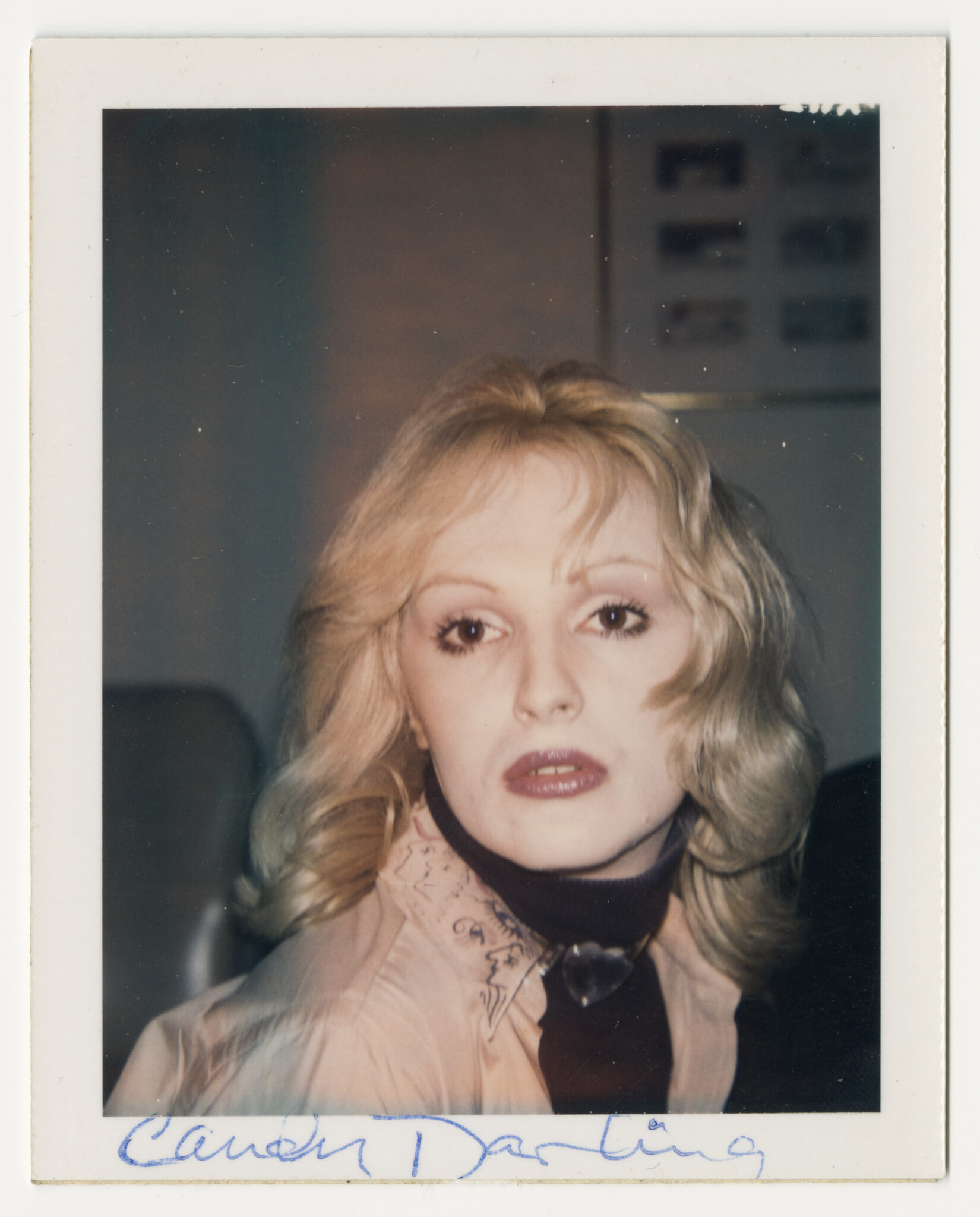 Inside MACHO, Dries Van Noten's Exhibition of Rare Warhol Polaroids